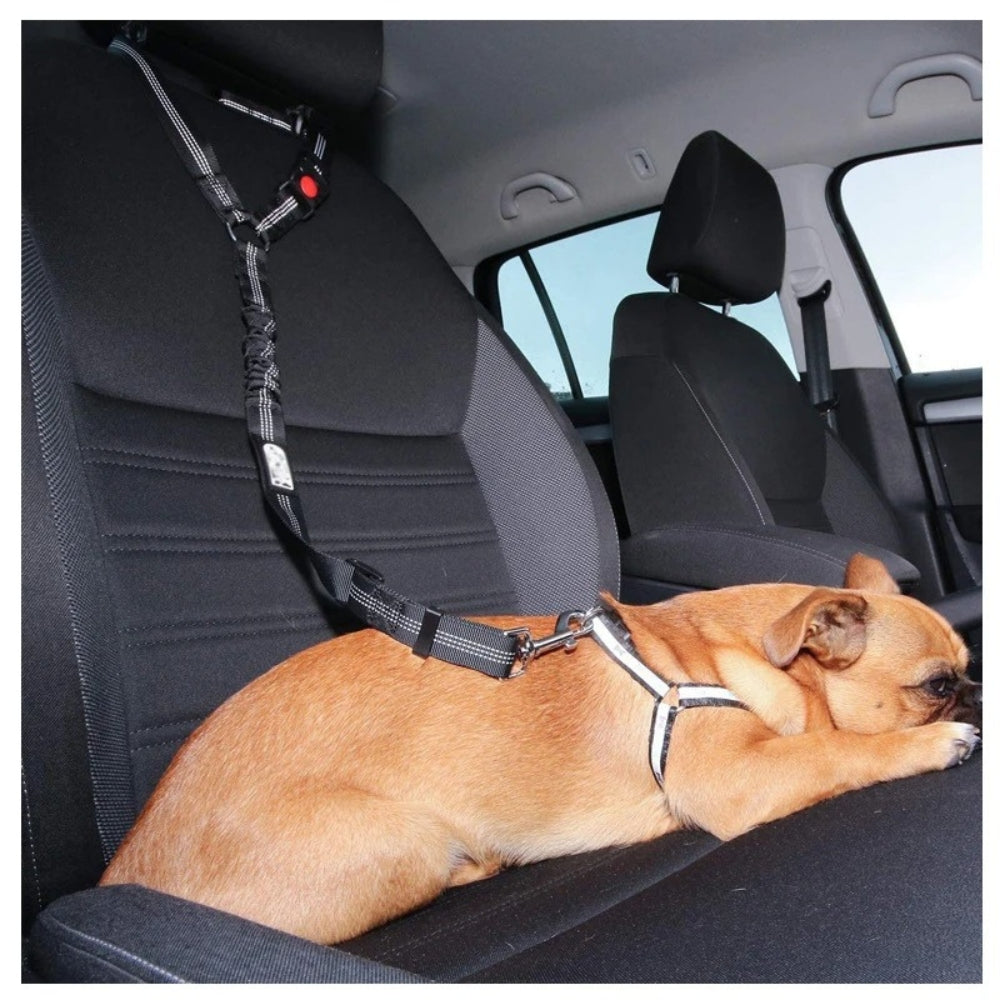 Laisse pour Chien en Voiture | Compagnon Protégé ®
