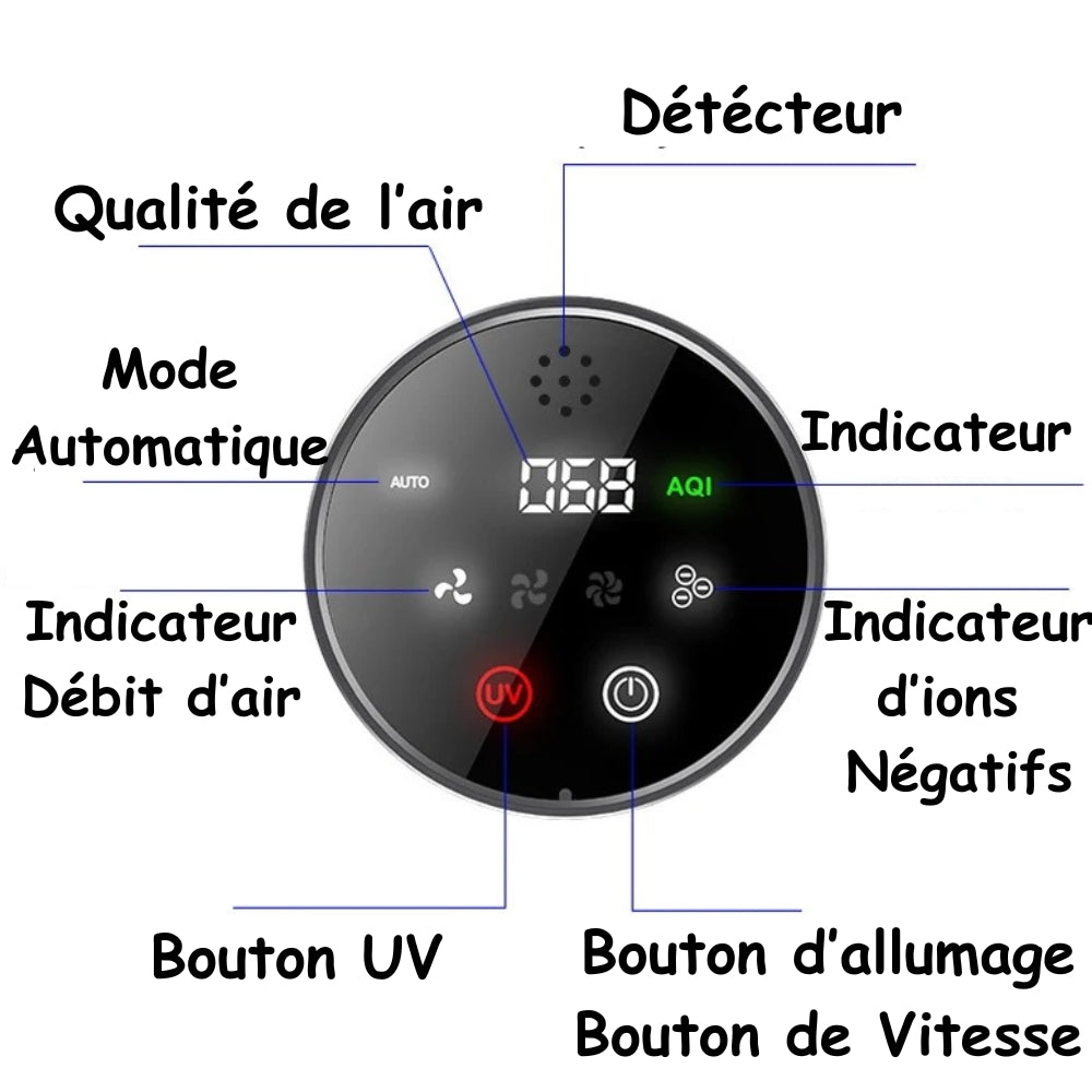 Purificateur d'air pour voiture