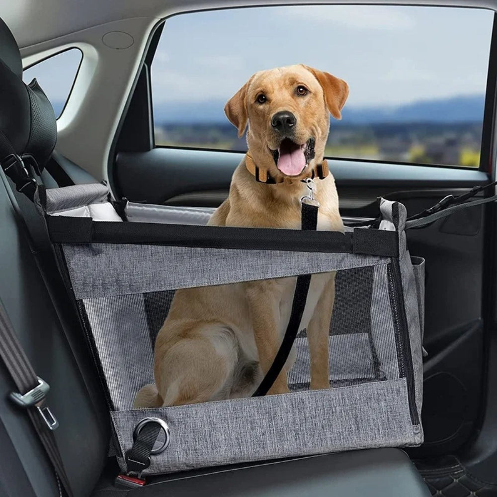 Panier Chien Voiture | Voyagez Ensemble ®