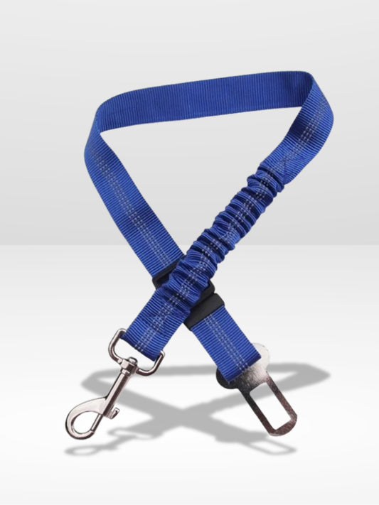 Ceinture Chien Voiture | Harnais Parfait ®