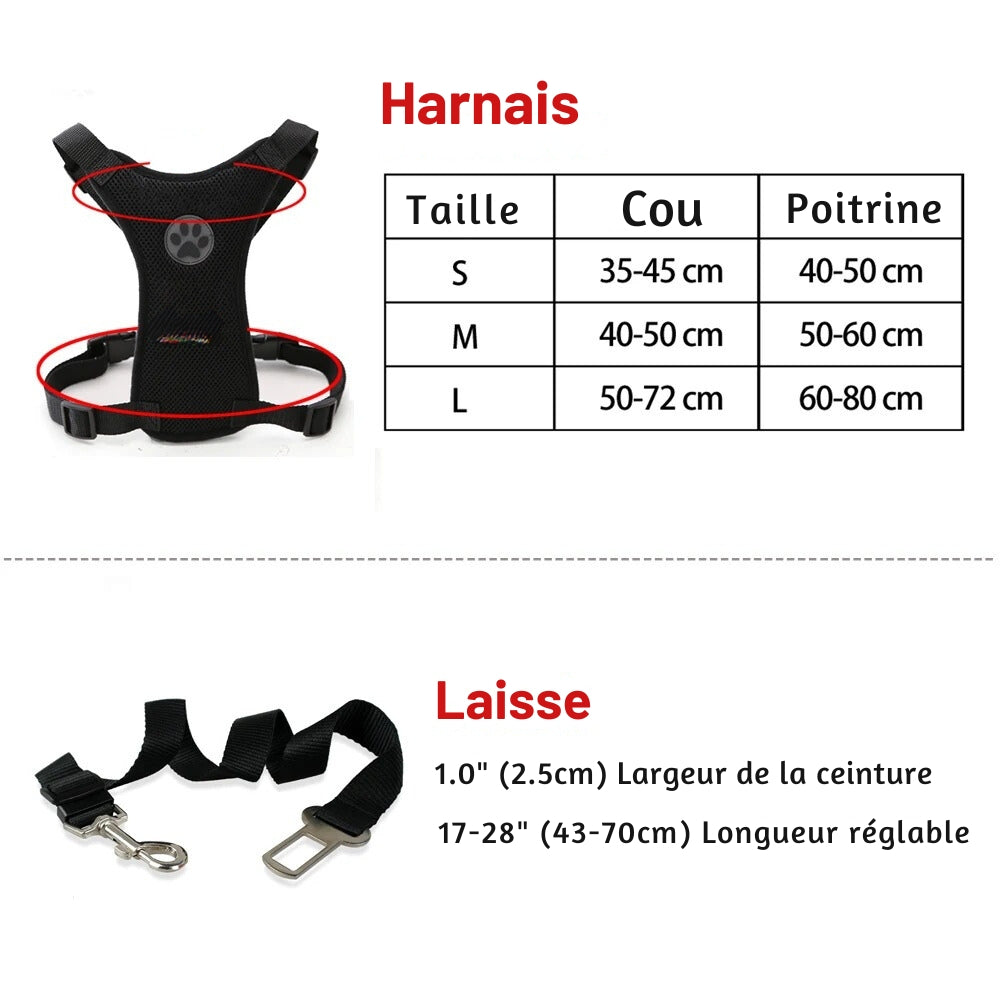 Harnais Chien Voiture | Sécurité Canine ®