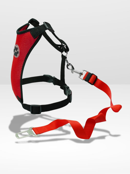Harnais Chien Voiture | Sécurité Canine ®
