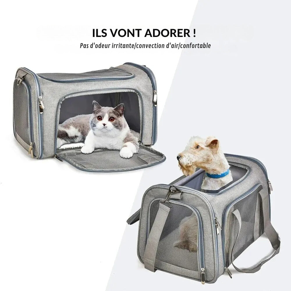 Sac Transport Chien Voiture | Douce Mobilité®