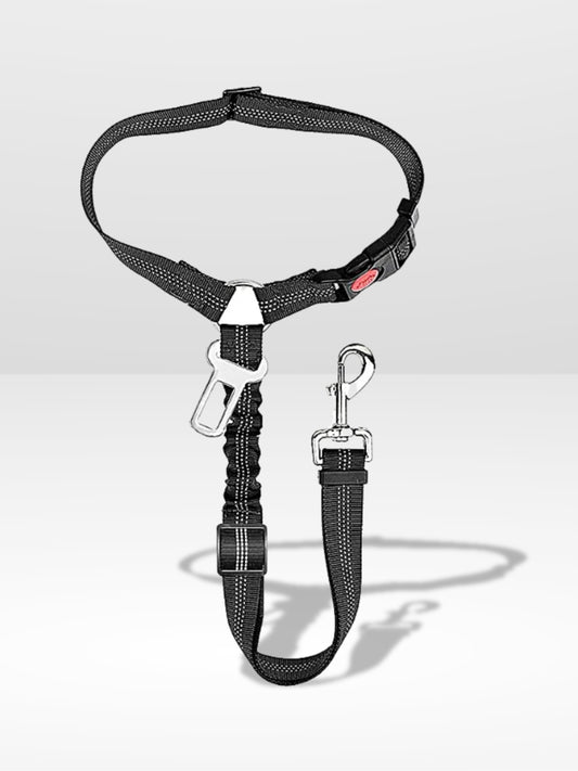 Laisse pour Chien en Voiture | Compagnon Protégé ®